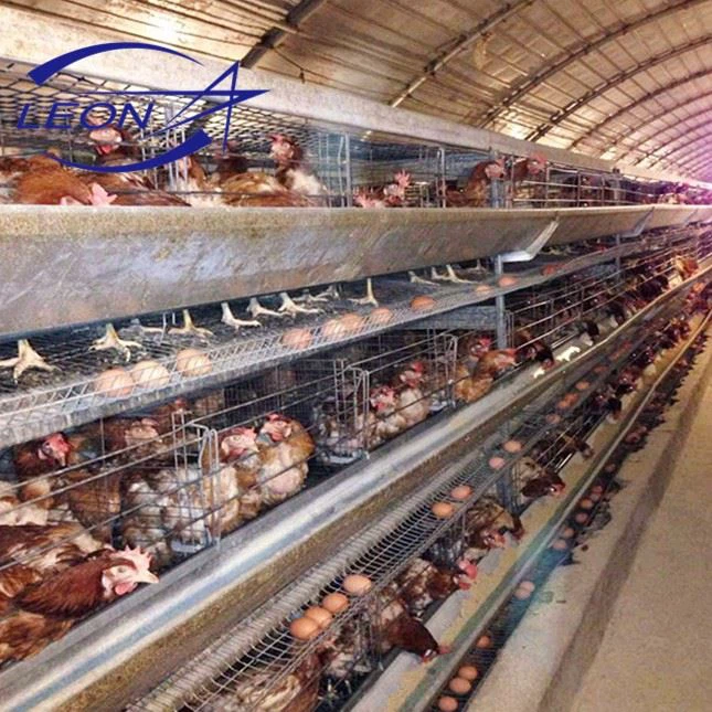 Layer Chicken Battery Cage
