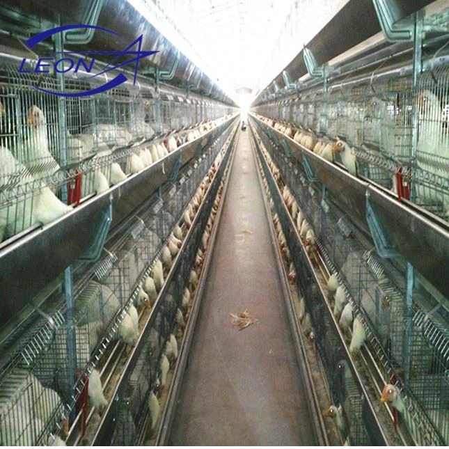 Layer Chicken Battery Cage