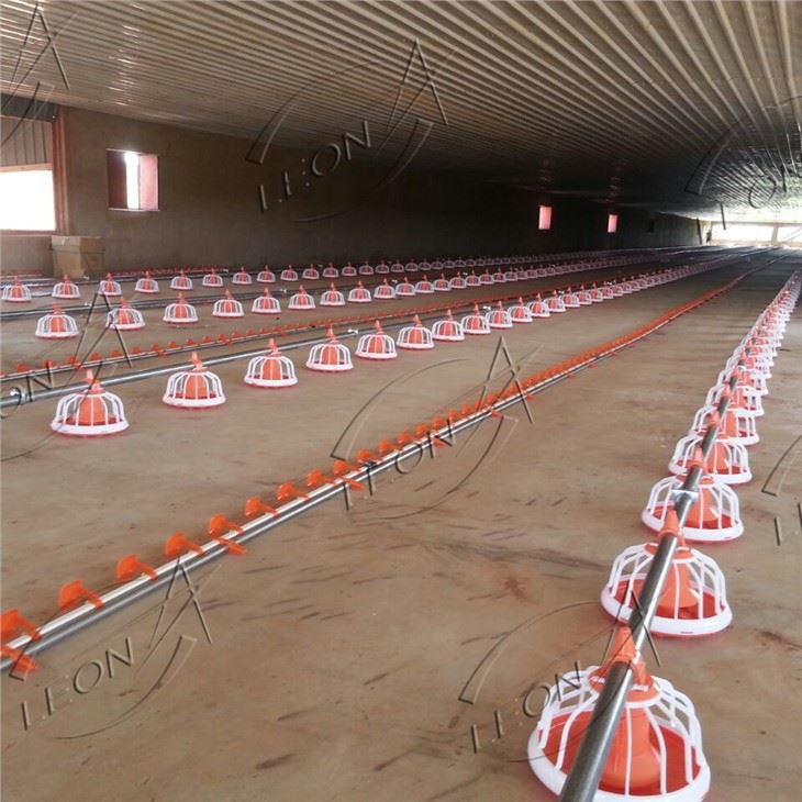 Chicken Floor Raising Broiler Farm House