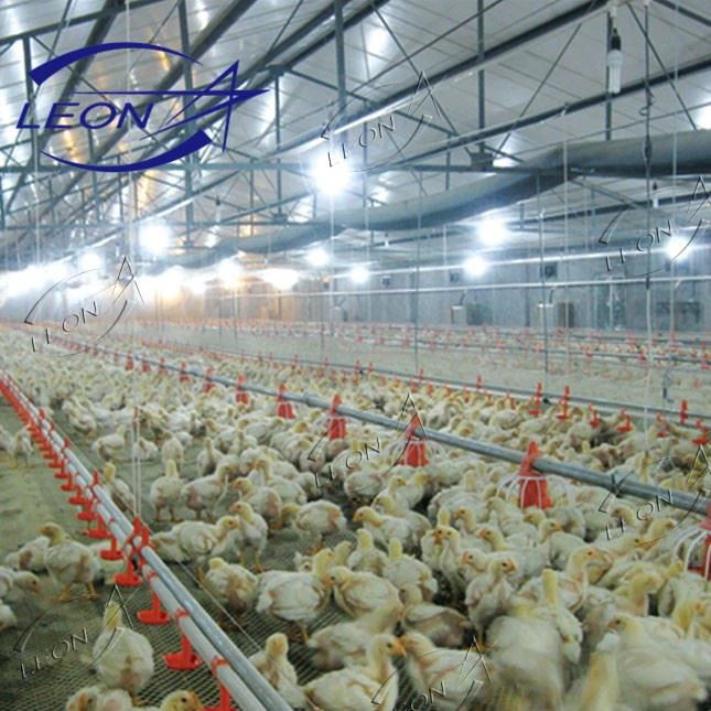 Broiler Chicken Floor Raising System