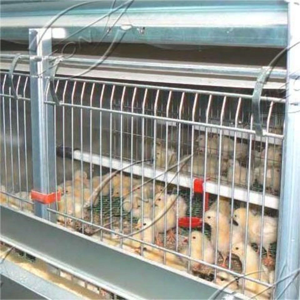 Fully Automatic H Type Broiler Battery Cage System price Fully Automatic H Type Broiler Battery Cage System price
