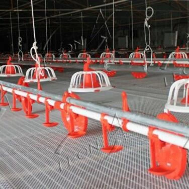 Poultry Automatic Pan Feeding System For Broilers Poultry Automatic Pan Feeding System For Broilers